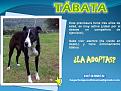 Click image for larger version

Name:	tabata.jpg
Views:	269
Size:	87.4 KB
ID:	750653