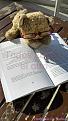 Click image for larger version

Name:	cita-alicia.jpg
Views:	118
Size:	247.8 KB
ID:	750926