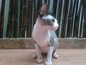 Click image for larger version

Name:	IMG00030-20100303-1029.jpg
Views:	530
Size:	91.3 KB
ID:	751148