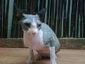 Click image for larger version

Name:	IMG00034-20100303-1033.jpg
Views:	1041
Size:	94.5 KB
ID:	751149