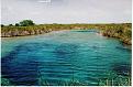 Click image for larger version

Name:	cuatrocienegas1.jpg
Views:	640
Size:	95.8 KB
ID:	751183