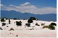 Click image for larger version

Name:	cuatrocienegas5.jpg
Views:	598
Size:	88.5 KB
ID:	751187